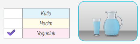 6. Sınıf Fen Bilimleri Ders Kitabı Sayfa 48 Cevapları İkinci Kitap1