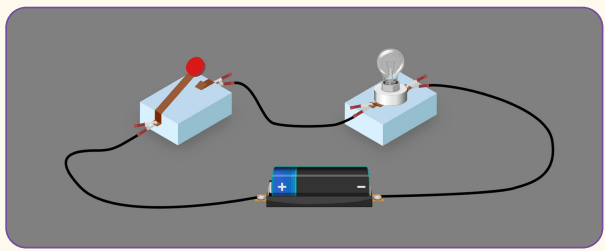 6. Sınıf Fen Bilimleri Ders Kitabı Sayfa 66-67. Cevapları 2. Kitap