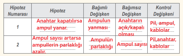 6. Sınıf Fen Bilimleri Ders Kitabı Sayfa 67 Cevapları İkinci Kitap