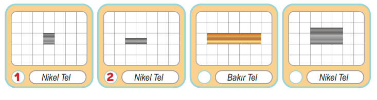 6. Sınıf Fen Bilimleri Ders Kitabı Sayfa 80 Cevapları İkinci Kitap