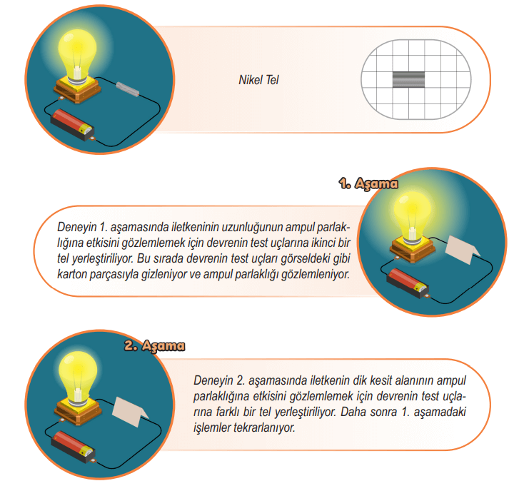 6. Sınıf Fen Bilimleri Ders Kitabı Sayfa 80 Cevapları İkinci Kitap