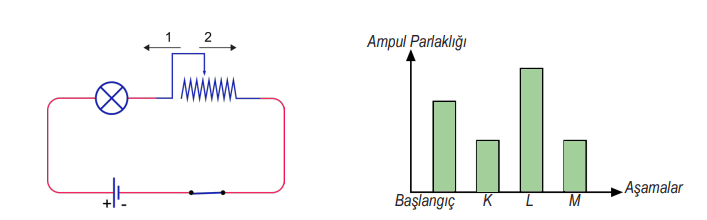 6. Sınıf Fen Bilimleri Ders Kitabı Sayfa 90 Cevapları İkinci Kitap