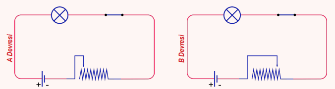 6. Sınıf Fen Bilimleri Ders Kitabı Sayfa 95 Cevapları İkinci Kitap
