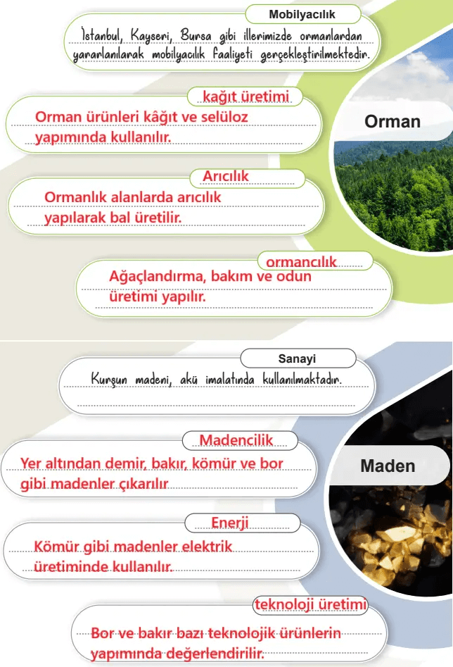 6. Sınıf Sosyal Bilgiler Ders Kitabı Sayfa 58-59 Cevapları İkinci Kitap