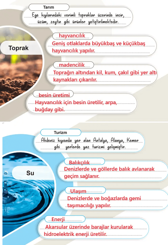 6. Sınıf Sosyal Bilgiler Ders Kitabı Sayfa 58-59-60-61-62-63. Cevapları 2. Kitap