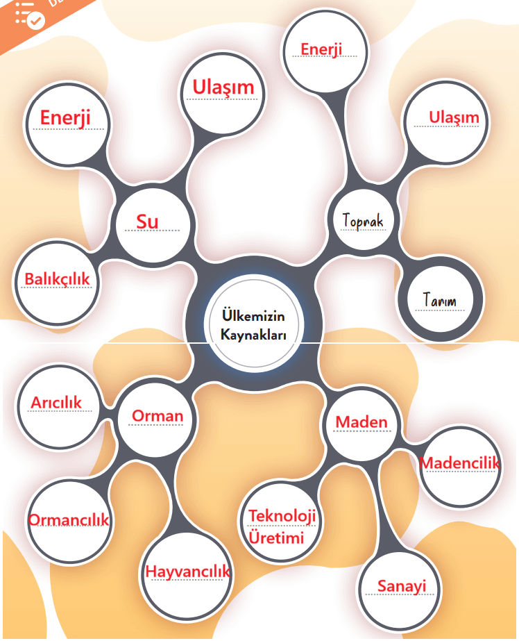 6. Sınıf Sosyal Bilgiler Ders Kitabı Sayfa 63 Cevapları İkinci Kitap