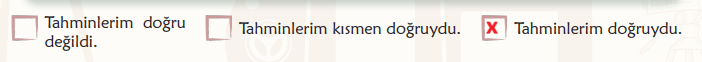6. Sınıf Türkçe Ders Kitabı Sayfa 132 Cevapları İkinci Kitap1
