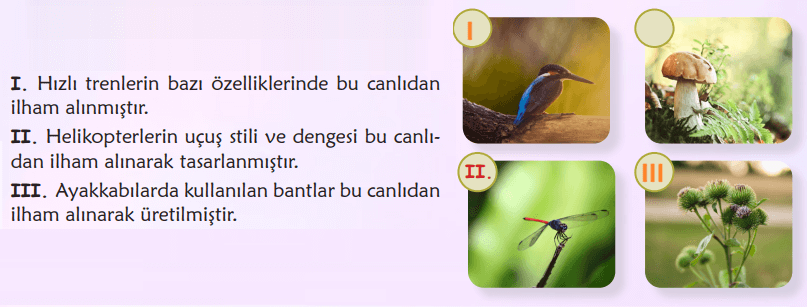 6. Sınıf Türkçe Ders Kitabı Sayfa 92 Cevapları İkinci Kitap 6. Sınıf Türkçe Ders Kitabı Sayfa 92 Cevapları İkinci Kitap