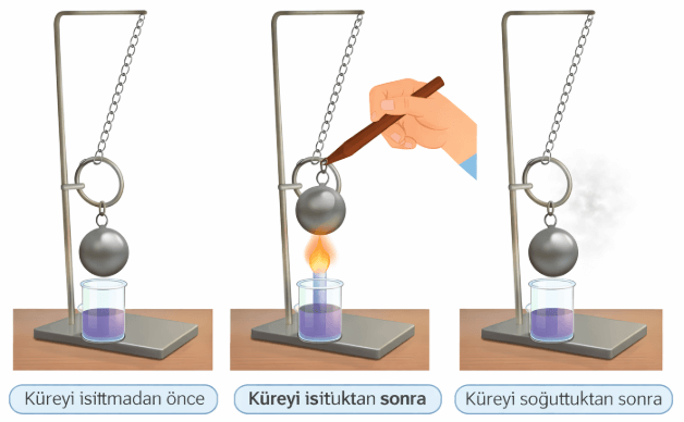 6. Sınıf Fen Bilimleri Ders Kitabı Sayfa 22 Cevapları İkinci Kitap