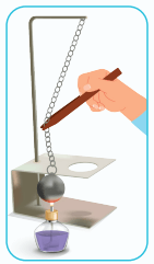 6. Sınıf Fen Bilimleri Ders Kitabı Sayfa 22 Cevapları