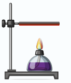 6. Sınıf Fen Bilimleri Ders Kitabı Sayfa 24 Cevapları