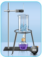 6. Sınıf Fen Bilimleri Ders Kitabı Sayfa 29 Cevapları