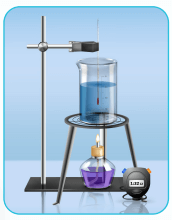 6. Sınıf Fen Bilimleri Ders Kitabı Sayfa 33 Cevapları