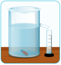 6. Sınıf Fen Bilimleri Ders Kitabı Sayfa 41 Cevapları
