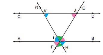 6. Sınıf Matematik Ders Kitabı Sayfa 24-25. Cevapları 2. Kitap