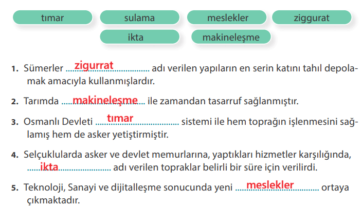 7. Sınıf Sosyal Bilgiler Ders Kitabı Sayfa 221 Cevapları MEB Yayınları 7. Sınıf Sosyal Bilgiler Ders Kitabı Sayfa 221 Cevapları MEB Yayınları