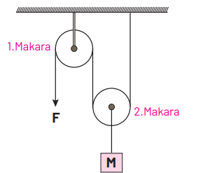 8. Sınıf Fen Bilimleri Ders Kitabı Sayfa 220. Cevapları Hecce Yayıncılık