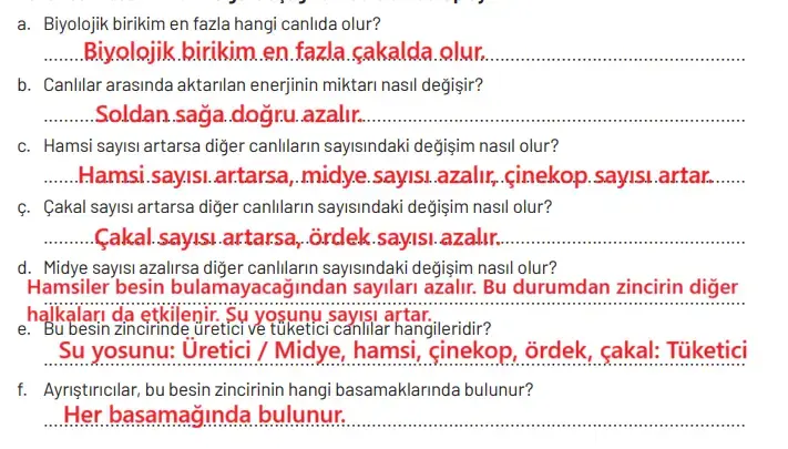 8. Sınıf Fen Bilimleri Ders Kitabı Sayfa 232. Cevapları Hecce Yayıncılık 8. Sınıf Fen Bilimleri Ders Kitabı Sayfa 232. Cevapları Hecce Yayıncılık