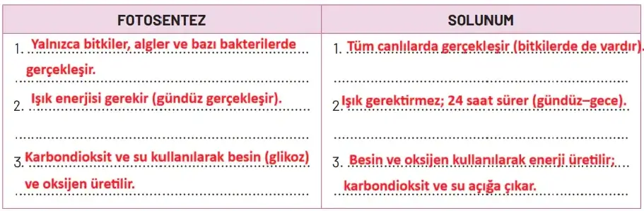 8. Sınıf Fen Bilimleri Ders Kitabı Sayfa 240. Cevapları Hecce Yayıncılık 8. Sınıf Fen Bilimleri Ders Kitabı Sayfa 240. Cevapları Hecce Yayıncılık