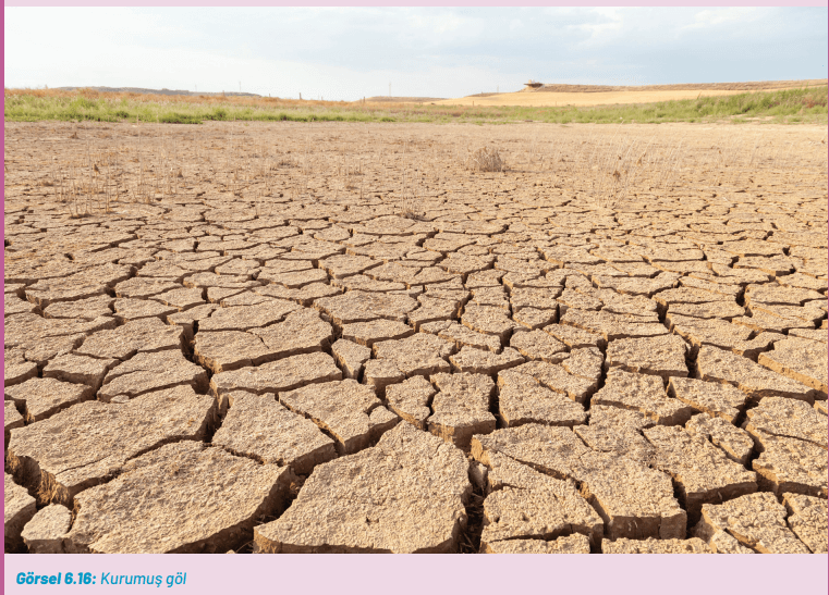 8. Sınıf Fen Bilimleri Ders Kitabı Sayfa 242-244-247. Cevapları Hecce Yayıncılık