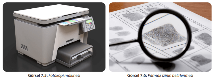 8. Sınıf Fen Bilimleri Ders Kitabı Sayfa 243 Cevapları MEB Yayınları