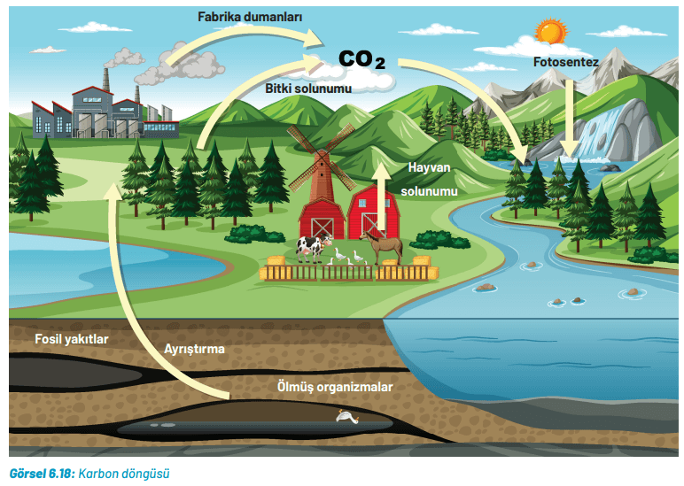 8. Sınıf Fen Bilimleri Ders Kitabı Sayfa 244. Cevapları Hecce Yayıncılık