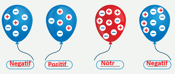 8. Sınıf Fen Bilimleri Ders Kitabı Sayfa 256 Cevapları MEB Yayınları