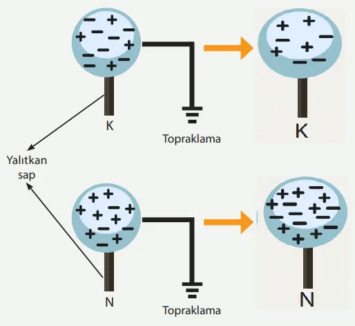 8. Sınıf Fen Bilimleri Ders Kitabı Sayfa 257 Cevapları MEB Yayınları
