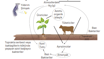 8. Sınıf Fen Bilimleri Ders Kitabı Sayfa 268. Cevapları Hecce Yayıncılık 8. Sınıf Fen Bilimleri Ders Kitabı Sayfa 268. Cevapları Hecce Yayıncılık