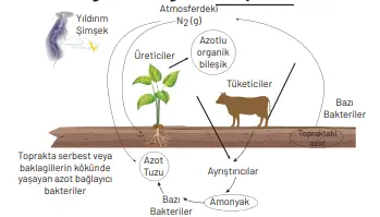 8. Sınıf Fen Bilimleri Ders Kitabı Sayfa 268. Cevapları Hecce Yayıncılık 8. Sınıf Fen Bilimleri Ders Kitabı Sayfa 268. Cevapları Hecce Yayıncılık