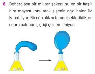 8. Sınıf Fen Bilimleri Ders Kitabı Sayfa 268. Cevapları Hecce Yayıncılık 8. Sınıf Fen Bilimleri Ders Kitabı Sayfa 268. Cevapları Hecce Yayıncılık