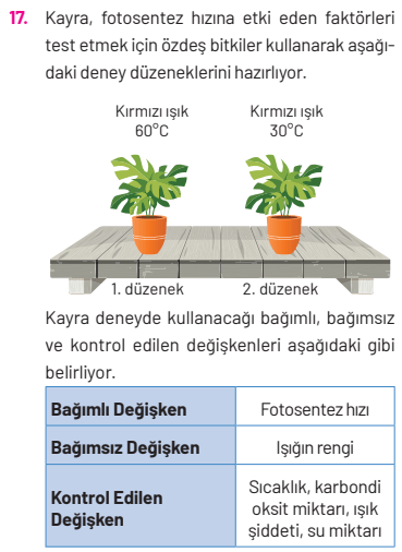 8. Sınıf Fen Bilimleri Ders Kitabı Sayfa 269. Cevapları Hecce Yayıncılık 8. Sınıf Fen Bilimleri Ders Kitabı Sayfa 269. Cevapları Hecce Yayıncılık