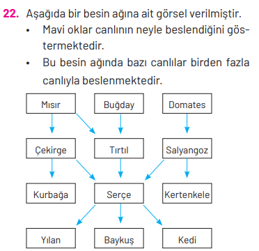 8. Sınıf Fen Bilimleri Ders Kitabı Sayfa 270. Cevapları Hecce Yayıncılık 8. Sınıf Fen Bilimleri Ders Kitabı Sayfa 270. Cevapları Hecce Yayıncılık