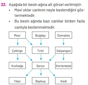 8. Sınıf Fen Bilimleri Ders Kitabı Sayfa 270. Cevapları Hecce Yayıncılık 8. Sınıf Fen Bilimleri Ders Kitabı Sayfa 270. Cevapları Hecce Yayıncılık
