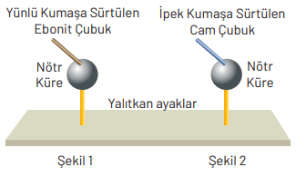 8. Sınıf Fen Bilimleri Ders Kitabı Sayfa 309 Cevapları Hecce Yayıncılık