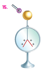 8. Sınıf Fen Bilimleri Ders Kitabı Sayfa 309 Cevapları Hecce Yayıncılık1