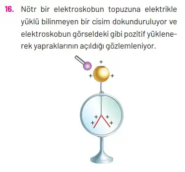 8. Sınıf Fen Bilimleri Ders Kitabı Sayfa 310 Cevapları Hecce Yayıncılık 8. Sınıf Fen Bilimleri Ders Kitabı Sayfa 310 Cevapları Hecce Yayıncılık