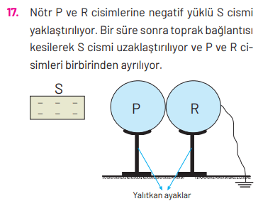 8. Sınıf Fen Bilimleri Ders Kitabı Sayfa 310 Cevapları Hecce Yayıncılık2
