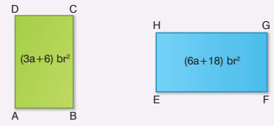 8. Sınıf Matematik Ders Kitabı Sayfa 161. Cevapları
