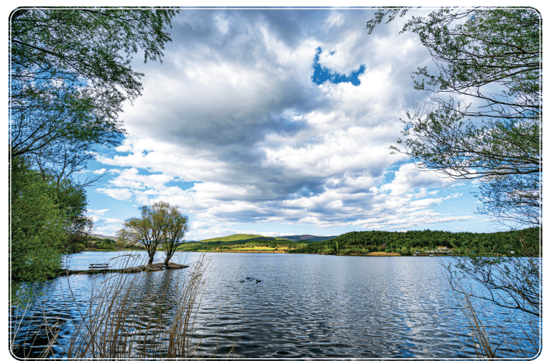 8. Sınıf Türkçe Ders Kitabı Sayfa 184 Cevapları MEB Yayınları 8. Sınıf Türkçe Ders Kitabı Sayfa 184 Cevapları MEB Yayınları