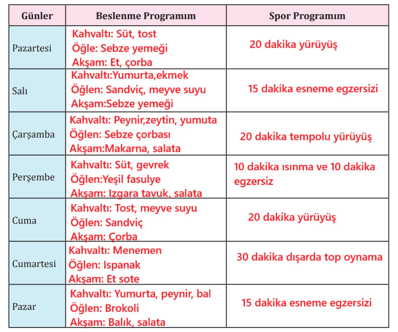 8. Sınıf Türkçe Ders Kitabı Sayfa 208 Cevapları MEB Yayınları