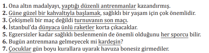 8. Sınıf Türkçe Ders Kitabı Sayfa 209 Cevapları MEB Yayınları
