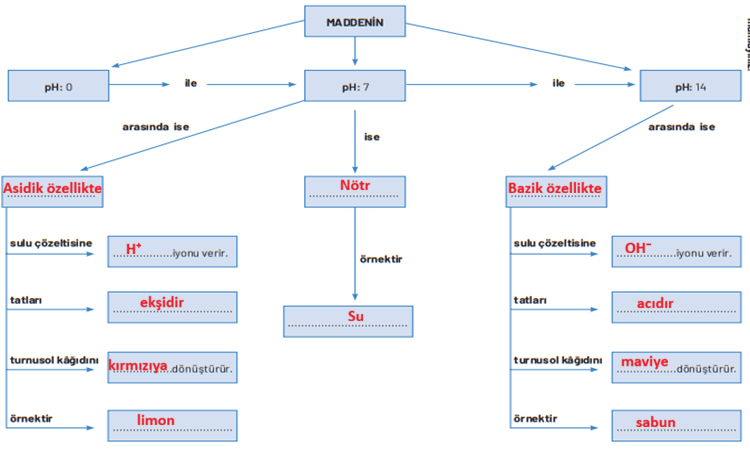 8. Sınıf Fen Bilimleri Ders Kitabı Sayfa 183-184-185-186-187. Cevapları Hecce Yayıncılık
