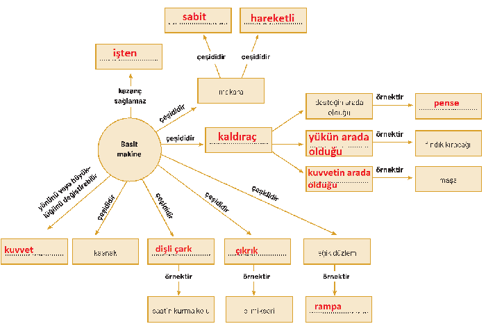 8. Sınıf Fen Bilimleri Ders Kitabı Sayfa 215-216-217-218. Cevapları Hecce Yayıncılık