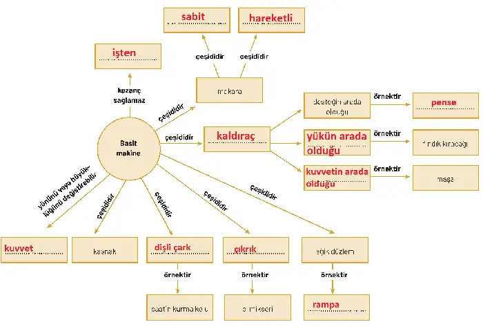 8. Sınıf Fen Bilimleri Ders Kitabı Sayfa 215-216-217-218 Cevapları