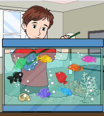 8. Sınıf Matematik Ders Kitabı Sayfa 154. Cevapları