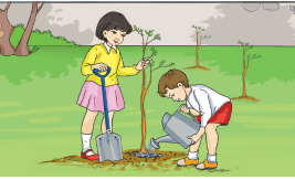 8. Sınıf Matematik Ders Kitabı Sayfa 183-186. Cevapları Sonuç Yayınları 2 8. Sınıf Matematik Ders Kitabı Sayfa 186. Cevapları