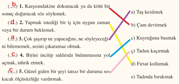 8. Sınıf Türkçe Ders Kitabı Sayfa 222-223-224-225-226-227 Cevapları