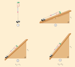 8. Sınıf Fen Bilimleri Ders Kitabı Sayfa 206-207-211. Cevapları Hecce Yayıncılık