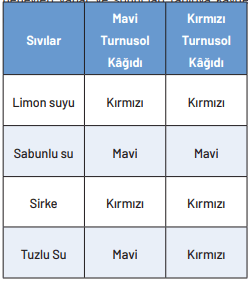 Semih'in bu gözlem sonuçları